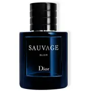 dior 145276