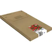 epson c13t09q64510