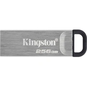 kingston dtkn 256gb