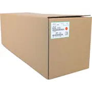 ricoh d2960123