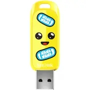 sandisk sdczif256gg46