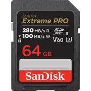 sandisk sdsdxep064ggn4in