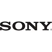 sony ac adaptor 100wacdp100d01