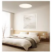 xiaomi bhr9933gl