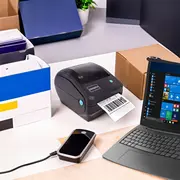 zenwire 6129564
