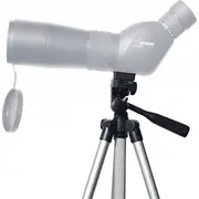 braun phototechnik 01720
