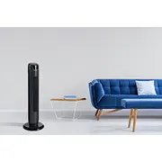 concept 8595631005408