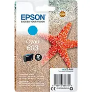 epson c13t03u24010