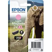 epson c13t24364022