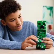 lego 21276