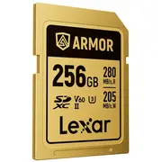 lexar lsdamgl256grnnng