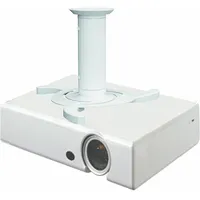 neomounts beamerc80white