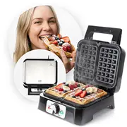 promis wap1600