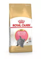 royal canin british shorthair