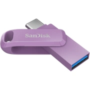 sandisk sdddc3256gg46l