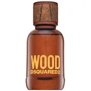 dsquared2 8011003845699