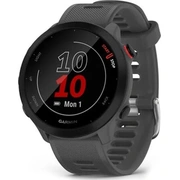 garmin 0100256213