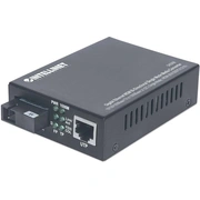 intellinet 545068