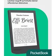pocketbook pb619twwb