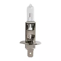 spuldze h1 55w