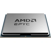 amd 100000001162