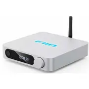 fiio 6953175721130