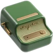 niimbot b21 pro dark green