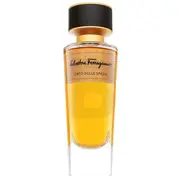 salvatore ferragamo 8052464890996