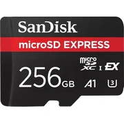 sandisk sdsqxfn256ggn4nn