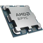 amd 100000001555