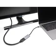 delock 60021