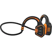 evolveo bsmp316gbor