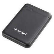 intenso 7313520