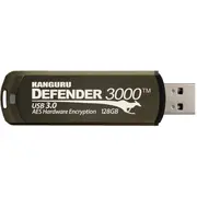 istorage kdf300032g