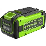 greenworks gr2955907