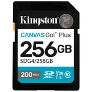 kingston sdg4 256gb