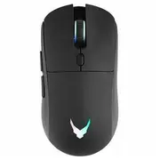 roger 4752168149737
