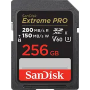 sandisk sdsdxep256ggn4in