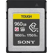 sony cebg960t
