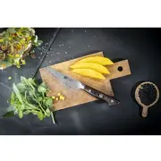 zwilling 305701010