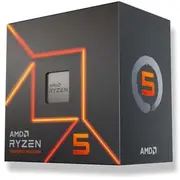 amd 100100001900box