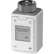 avm 20002961