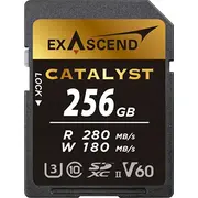 exascend ex256gsdv60