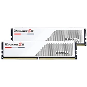 gskill f55600j3636c16gx2rs5w