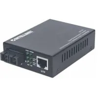 intellinet 507349