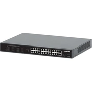 intellinet 561891