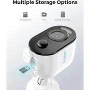 reolink b310