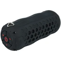 swissten swxboombk
