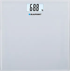 blaupunkt bsp301