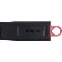 kingston dtx 256gb